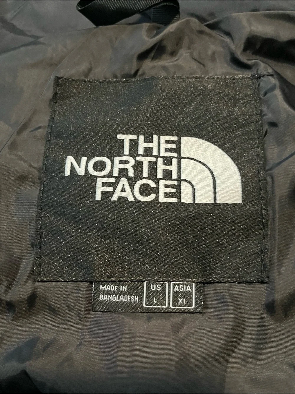 The North Face Black Down Puffer Coat